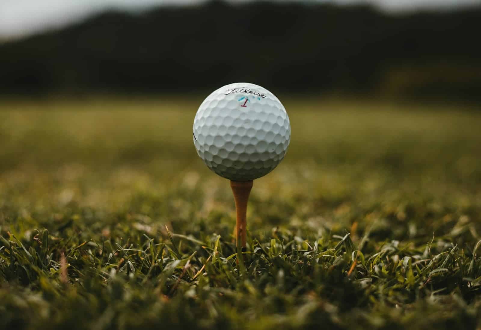 Sports and Leisure Activities